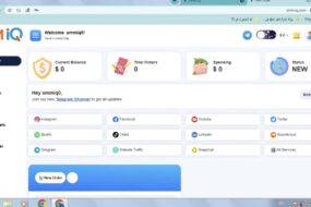 Snfollows Download official SMM Panel Script | SMM Scripts